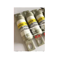 美国热电赛默飞5014iBeta环境颗粒物连续监测仪配件 109612-00	保险丝